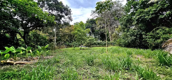 Venta de lote en Orotina LISTO PARA CONSTRUIR