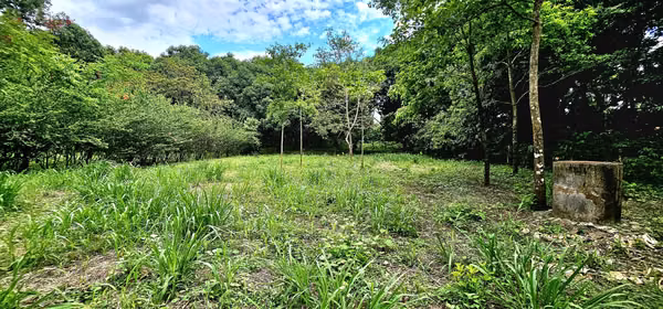 Venta de lote en Orotina LISTO PARA CONSTRUIR