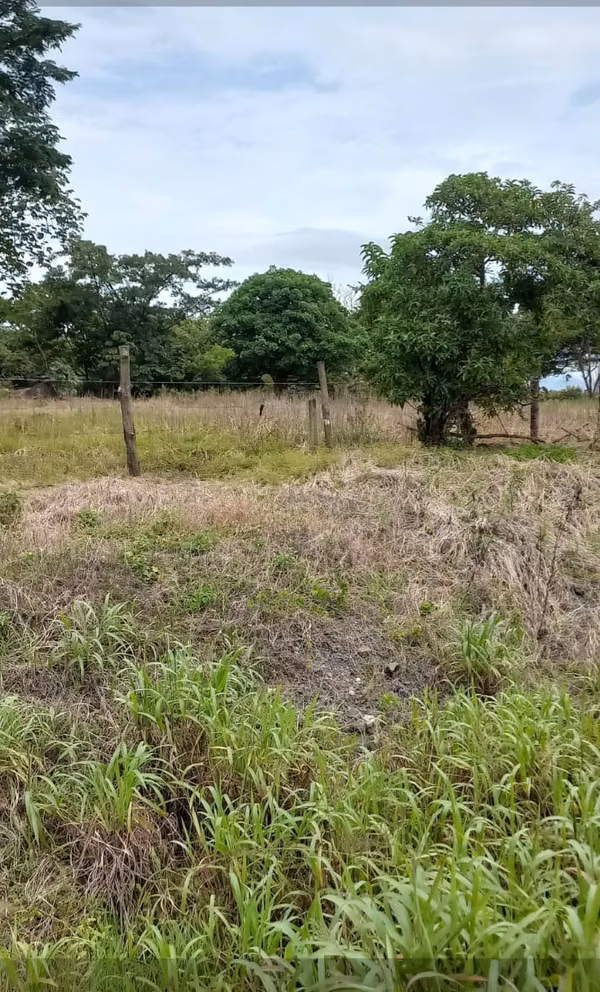 INDUSTRIAL LAND FOR SALE IN OROTINA, ALAJUELA
