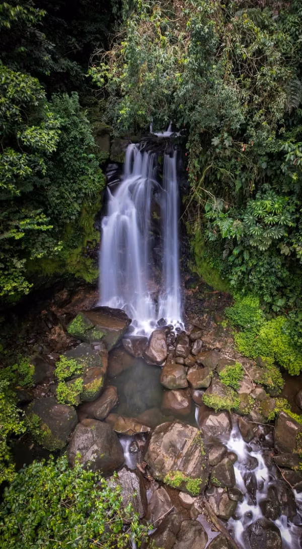 ¡Oportunidad! Finca Agroecoturística 20 Ha con Catarata Propia – Guácimo, Limón