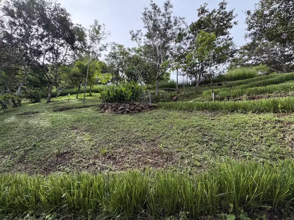 Venta de Quinta de montaña en San Ramon.
