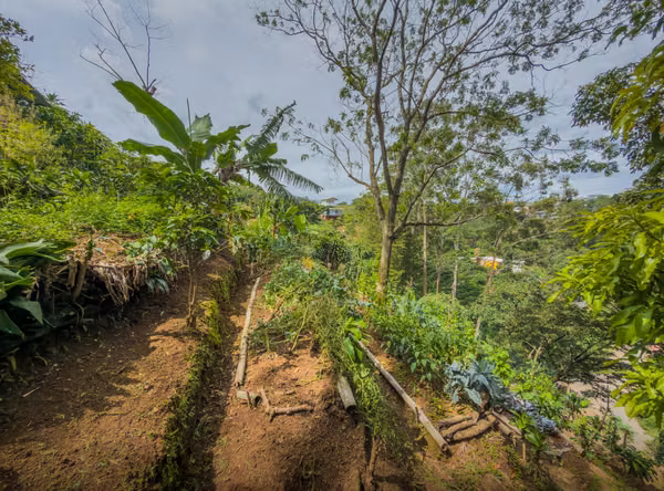 Finca Orgánica, Vista al Valle — Construya o Cultive-Cajon Grecia