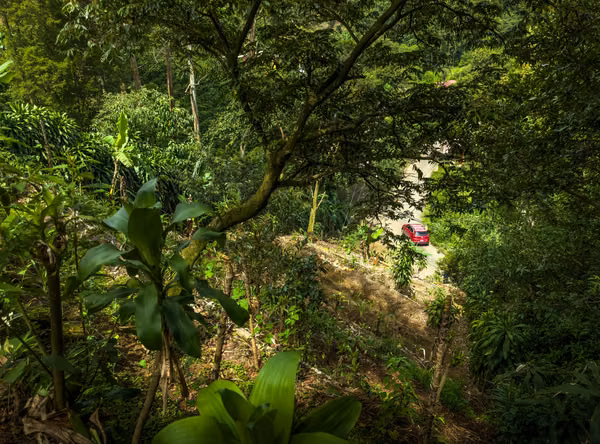 Finca Orgánica, Vista al Valle — Construya o Cultive-Cajon Grecia