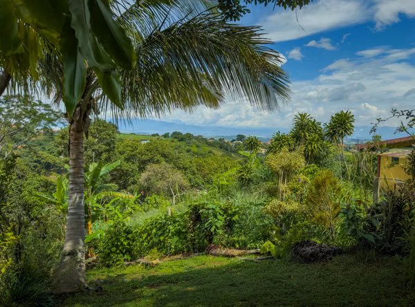Finca Orgánica, Vista al Valle — Construya o Cultive-Cajon Grecia