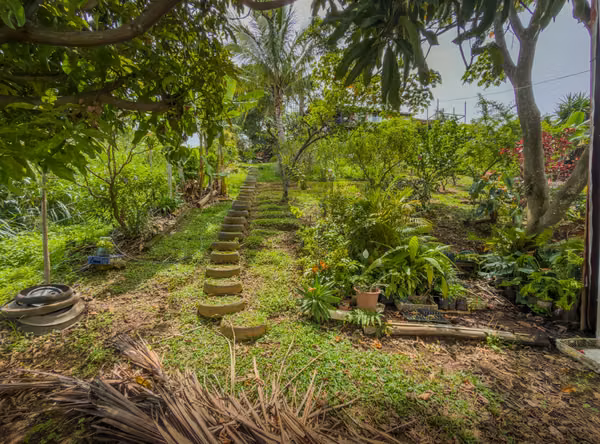 Finca Orgánica, Vista al Valle — Construya o Cultive-Cajon Grecia