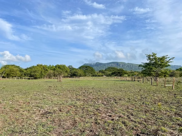 Hectárea plana en Nicoya