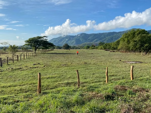 Hectárea plana en Nicoya