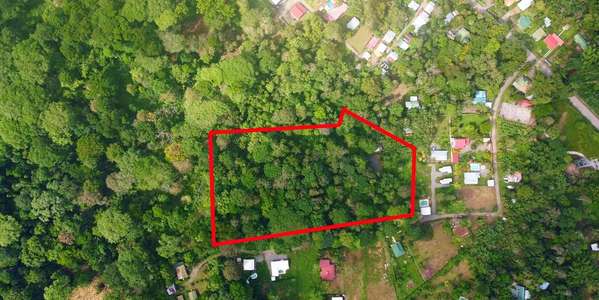 Lot in Puerto Viejo Limon - Virgin Jungle Land - Flat Terrain Build