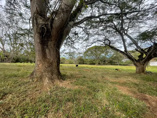 LOTE EN VENTA REBAJADO, TURRÚCARES DE ALAJUELA