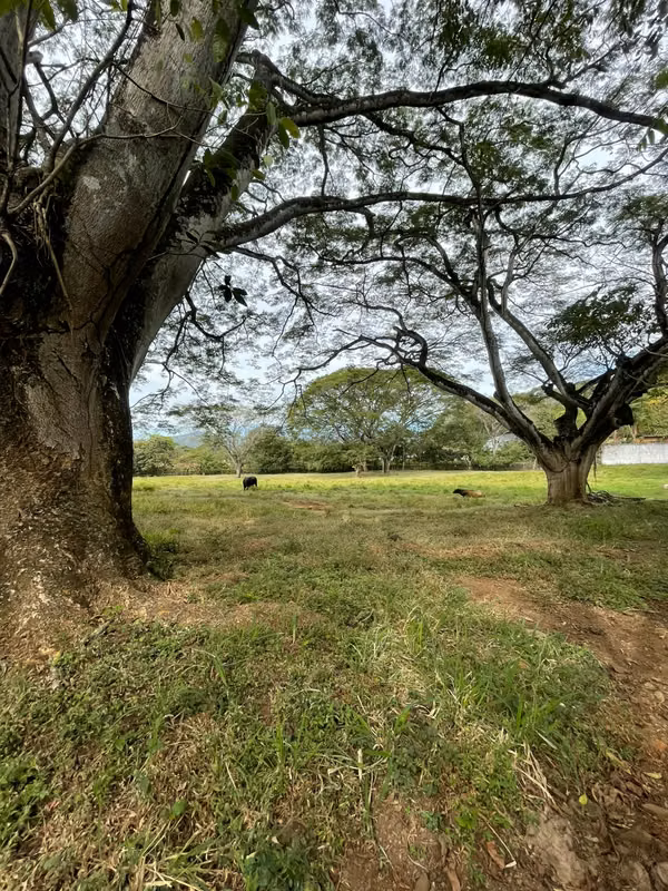LOTE EN VENTA REBAJADO, TURRÚCARES DE ALAJUELA