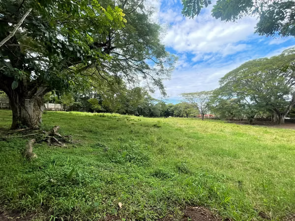 LOT FOR SALE REDUCED, ALAJUELA TURRUCIAS