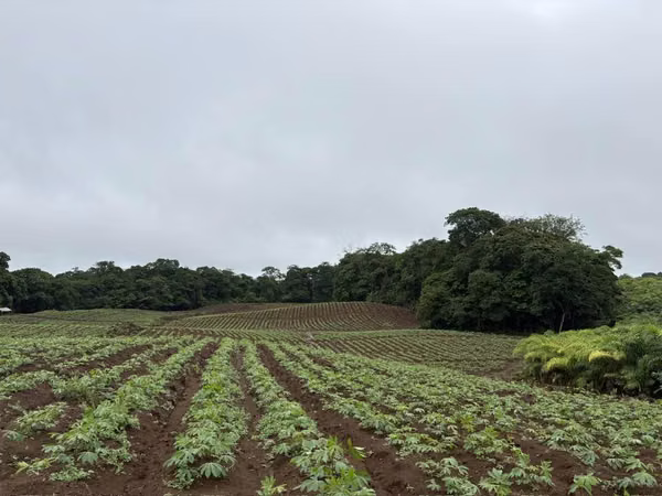 ¡EXCELENTE FINCA EN PRODUCCION EN VENTA EN SANTA RITA DE RIO CUARTO! 