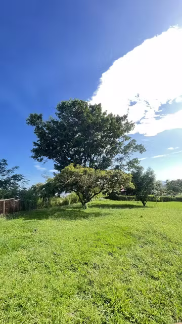 Lote Premium en Condominio Campestre en Grecia – Listo para Construir con Majestuoso Arbol