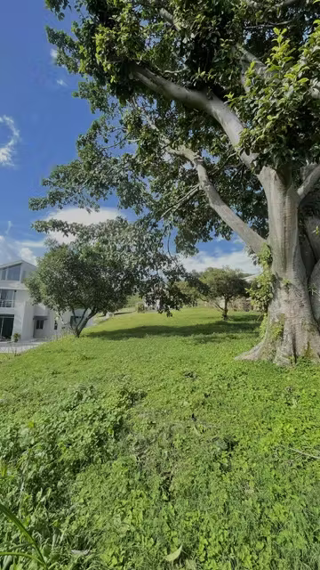 Lote Premium en Condominio Campestre en Grecia – Listo para Construir con Majestuoso Arbol