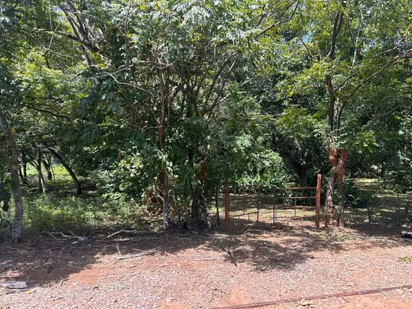 Orotina Coyolar Precioso Lote Quinta