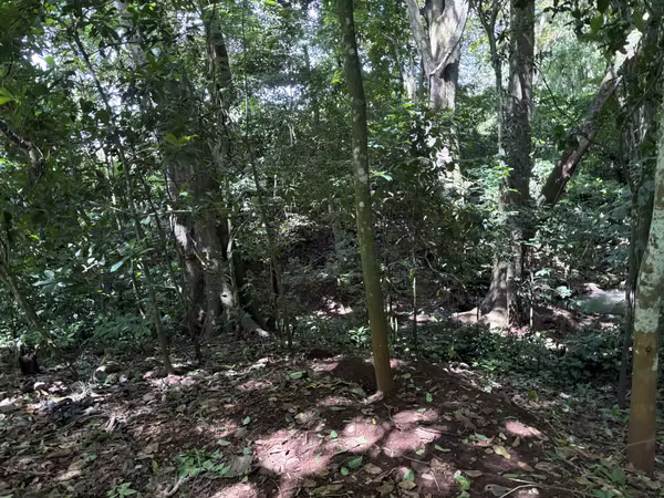 Orotina Coyolar Precioso Lote Quinta
