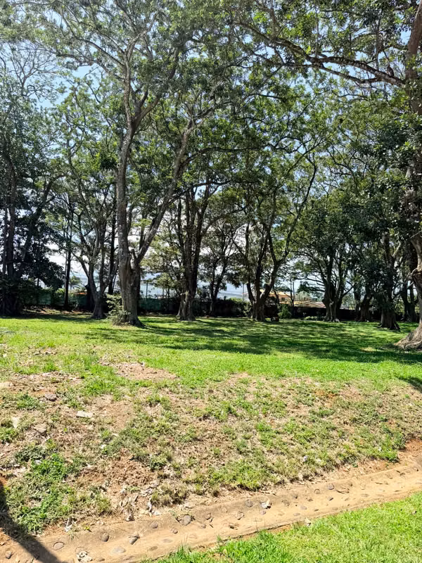 Venta Lote Hacienda Los Reyes La Guácima 900m2