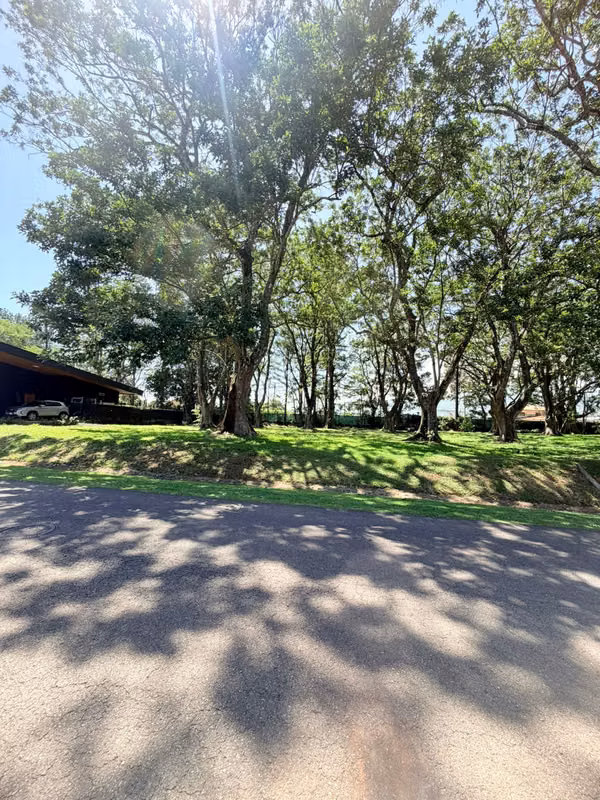 Venta Lote Hacienda Los Reyes La Guácima 900m2