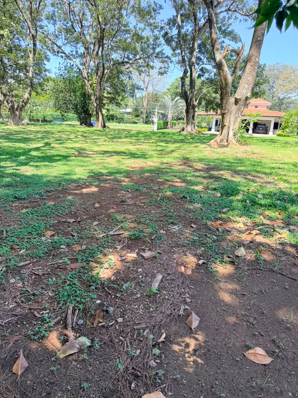 Venta Lote Hacienda Los Reyes La Guácima 900m2