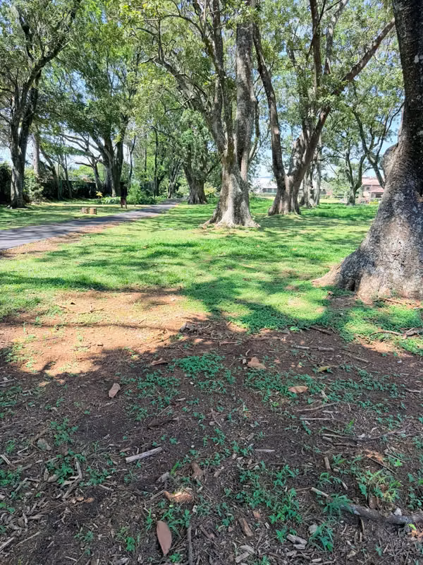 Venta Lote Hacienda Los Reyes La Guácima 900m2