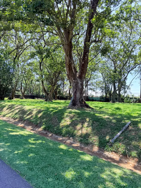 Venta Lote Hacienda Los Reyes La Guácima 900m2