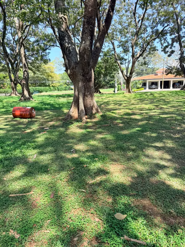 Venta Lote Hacienda Los Reyes La Guácima 900m2