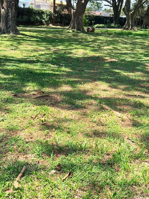 Venta Lote Hacienda Los Reyes La Guácima 900m2