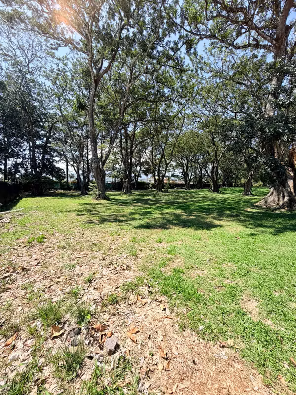 Venta Lote Hacienda Los Reyes La Guácima 900m2