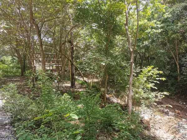 VENTA FINCA EN HACIENDA TEMPATE