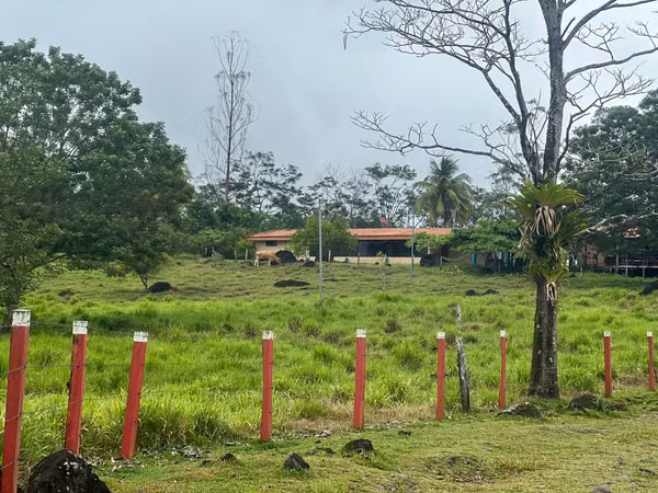 Beautiful Farm for Sale – Aguas Claras de Upala