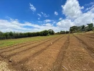 Land for sale in San Antonio, Escazú