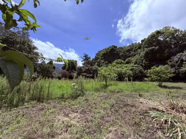 Land for Sale in Santa María de Dota (7,705 m²): Nature and Wellbeing