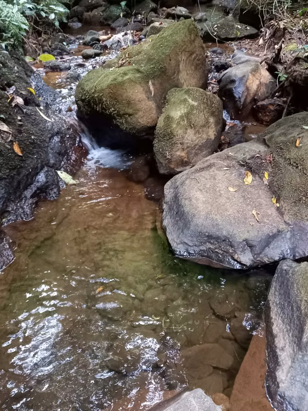 Venta finca Palmira, Zarcero