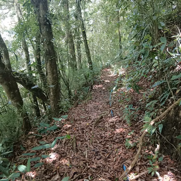 Venta finca Palmira, Zarcero