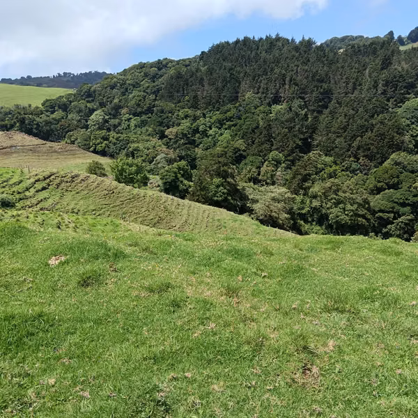 Venta finca Palmira, Zarcero