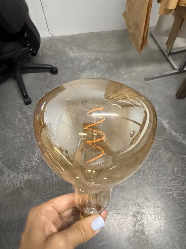 BULBS