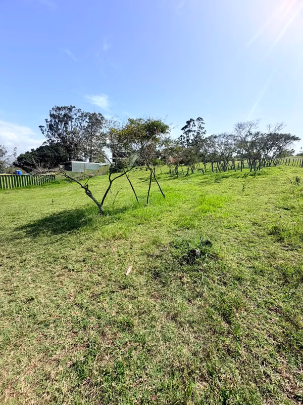 LOT FOR SALE IN CARTAGO 4500m2
