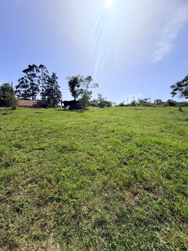 LOT FOR SALE IN CARTAGO 4500m2
