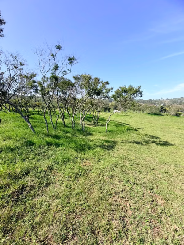 LOT FOR SALE IN CARTAGO 4500m2