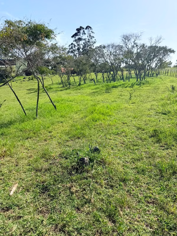 LOT FOR SALE IN CARTAGO 4500m2