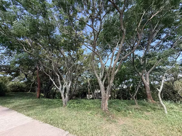Venta de lote en Condominio en Brasil de Mora
