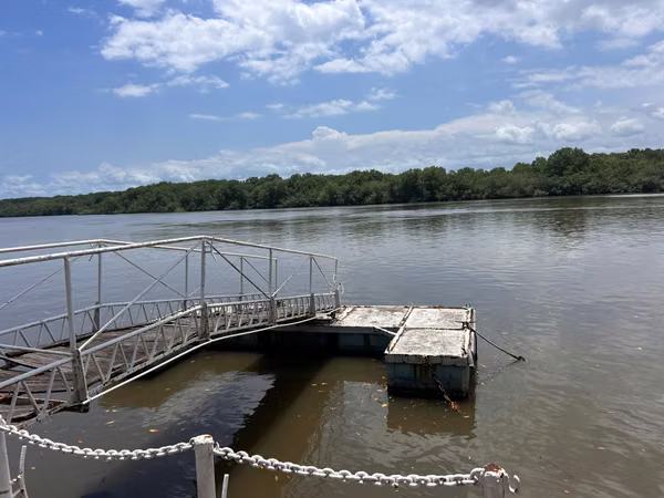 Puntarenas Cerca de Puerto Azul #1159