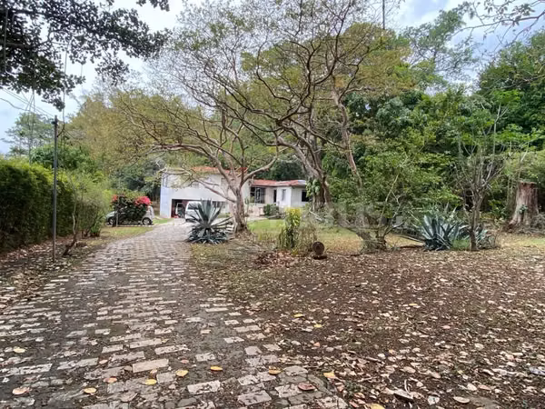 Lote de uso mixto con 30 metros de frente a calle publica en San Rafael de Escazu