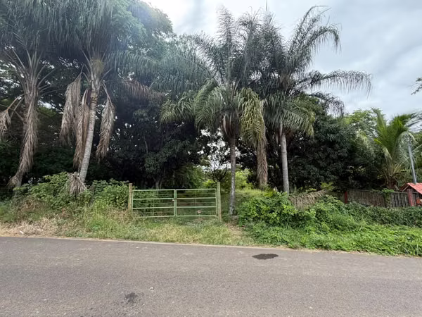 SALE OF LAND IN TURROCARES ALAJUELA COSTA RICO