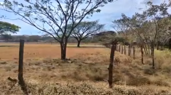 Sale of 2 Hectarean Finca in central Liberia, Guanacaste