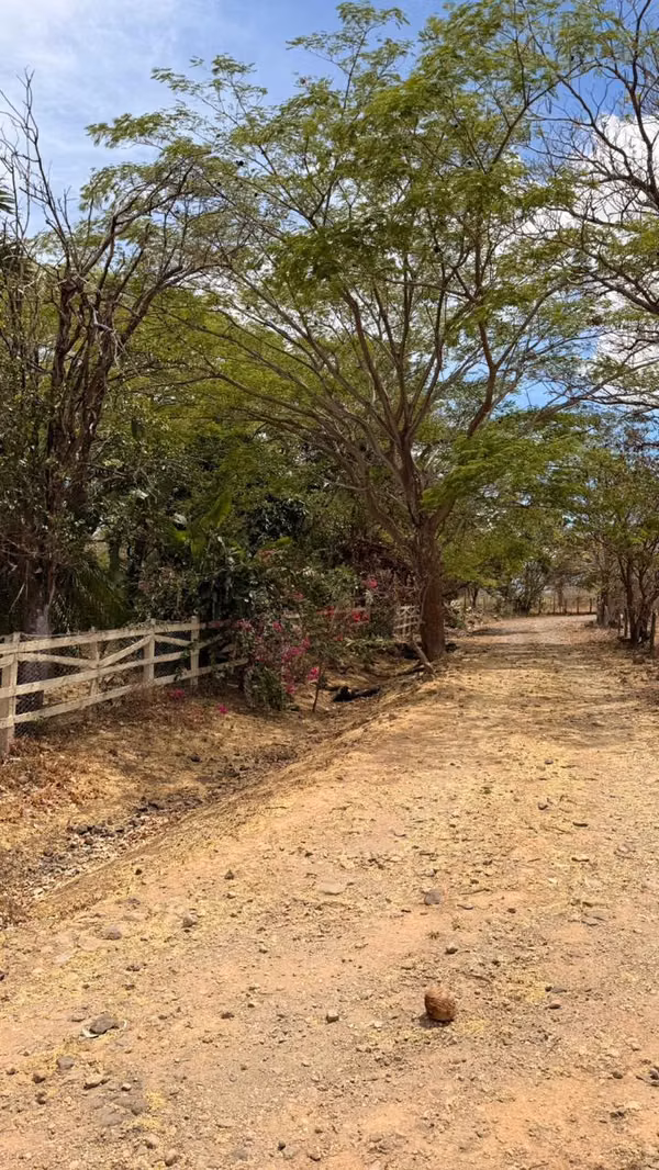 Finca 7 ha con casas y establos en Cañas Guanacaste