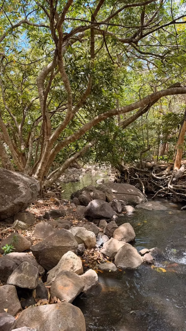 Finca 7 ha con casas y establos en Cañas Guanacaste
