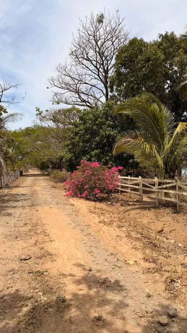Finca 7 ha con casas y establos en Cañas Guanacaste