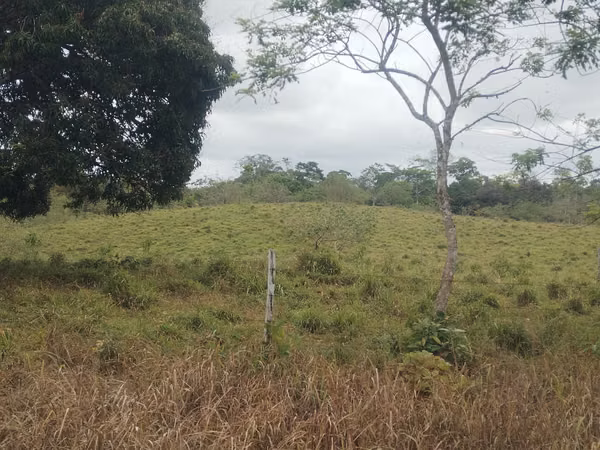 5 hectares and 6,945 m² for 55 Million – Property in Upala, Alajuela
