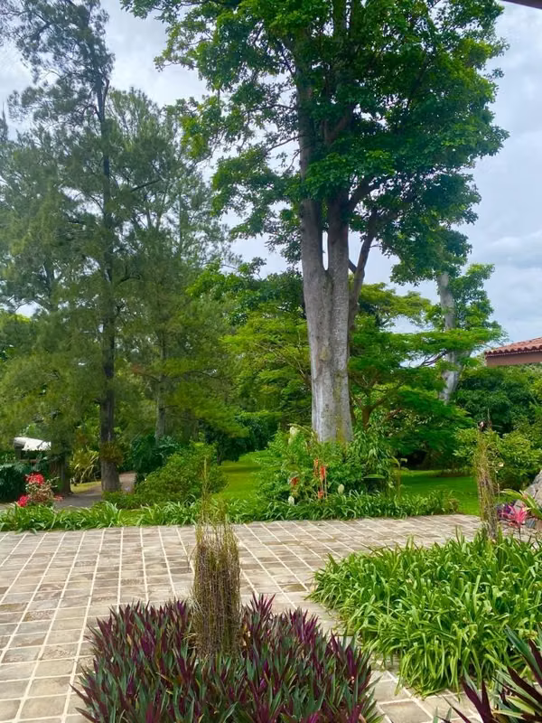 ESCAZÚ | SE ALQUILA / SE VENDE  Hermosa Casa de Una Planta Hermosos Jardines /Majestuosos Árboles